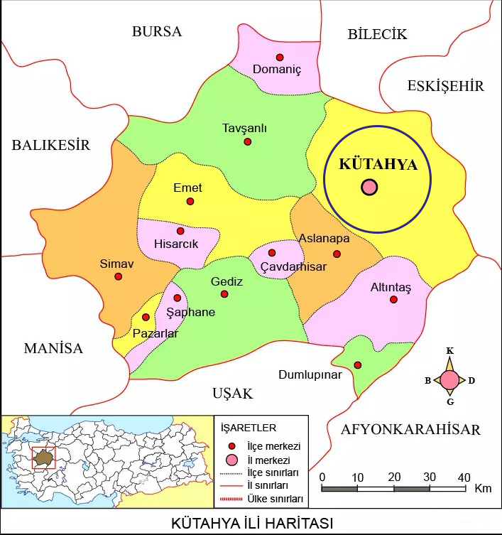 Medya