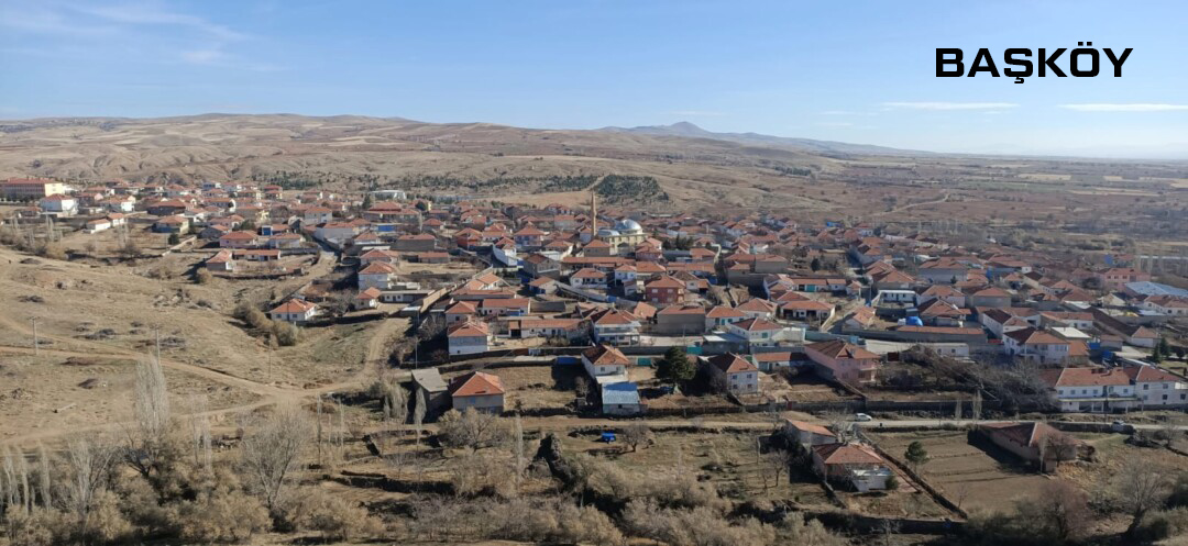 Medya