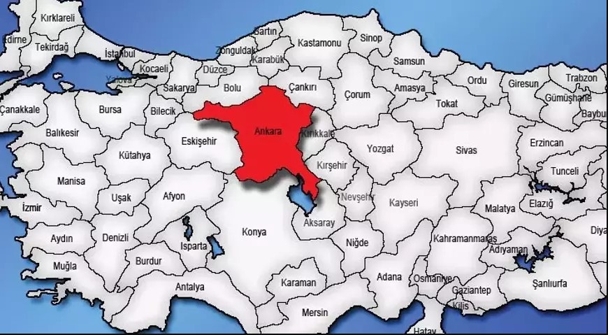 Medya