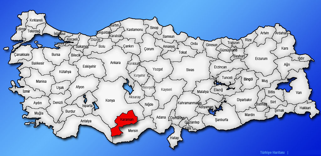 Medya