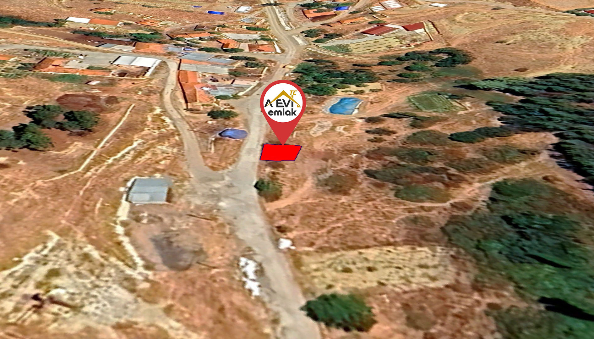 Medya