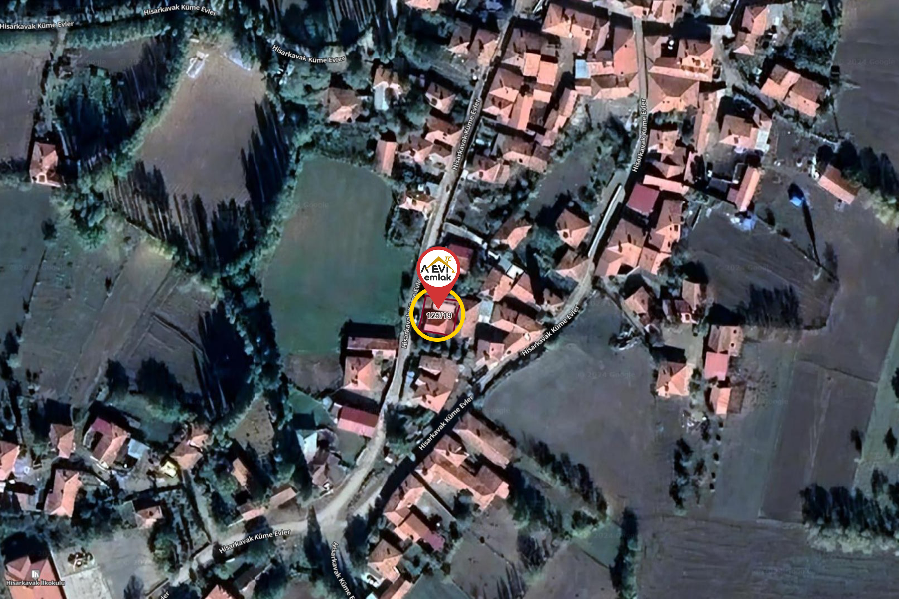Medya