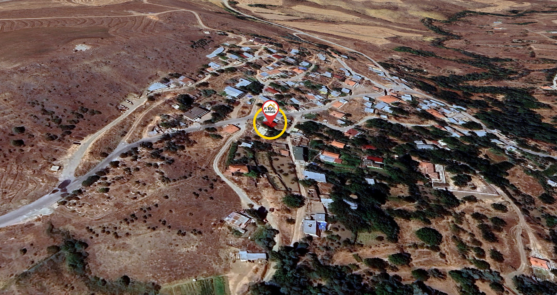 Medya