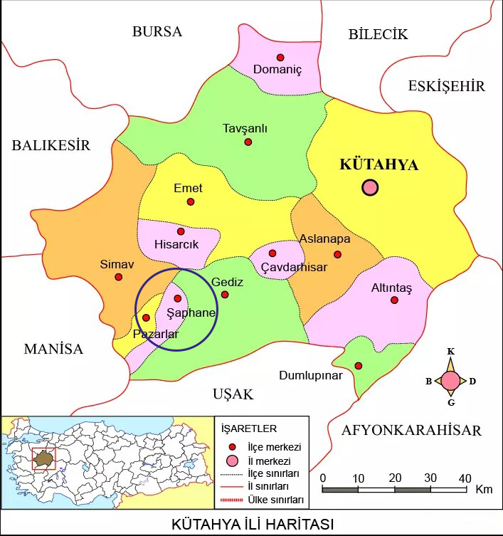 Medya