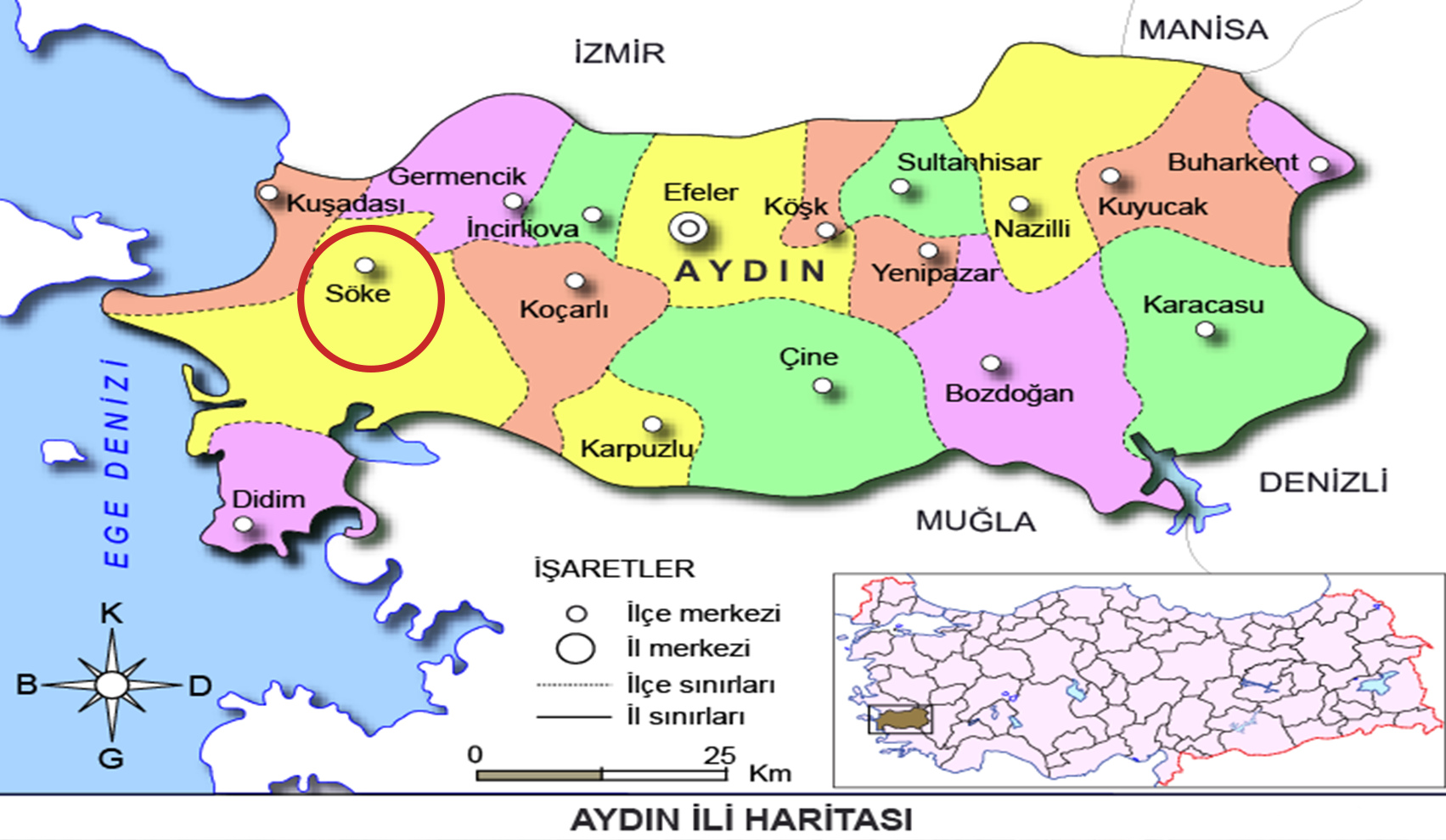Medya