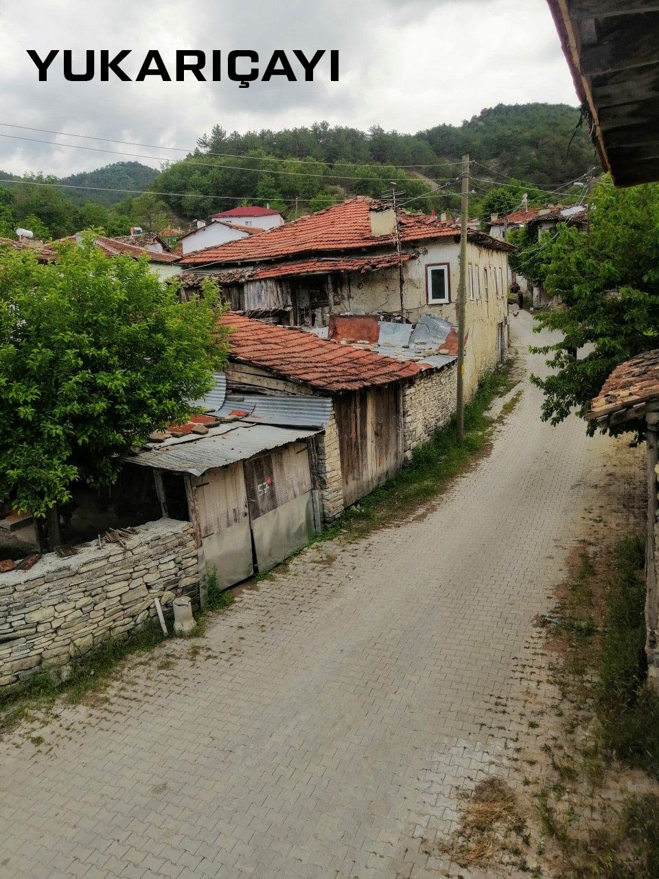 Medya