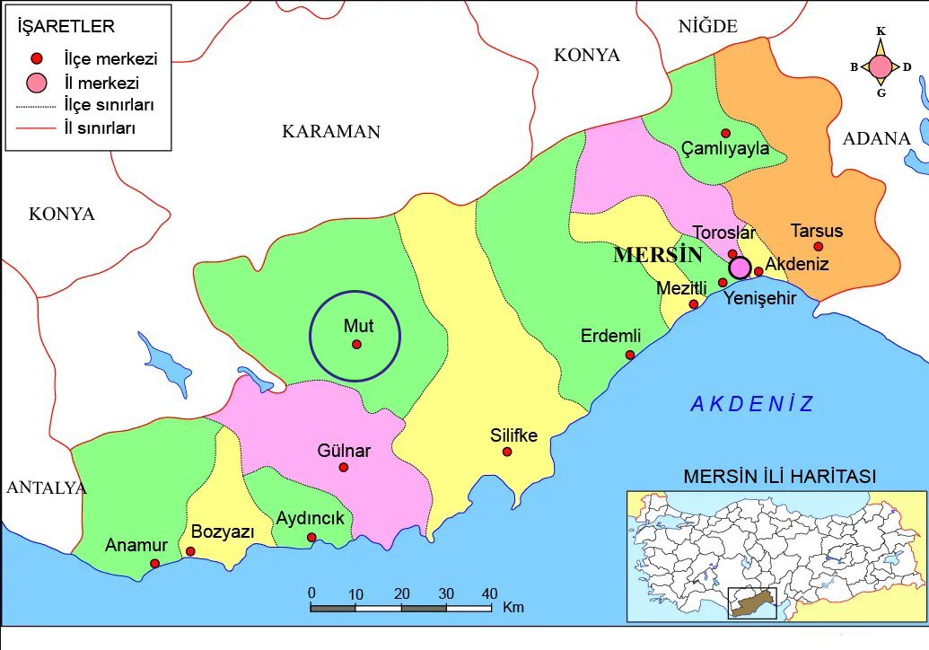 Medya
