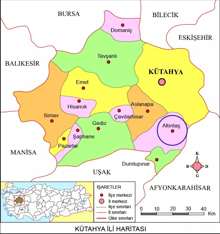 Medya