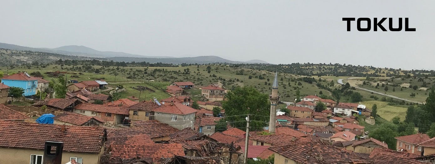 Medya