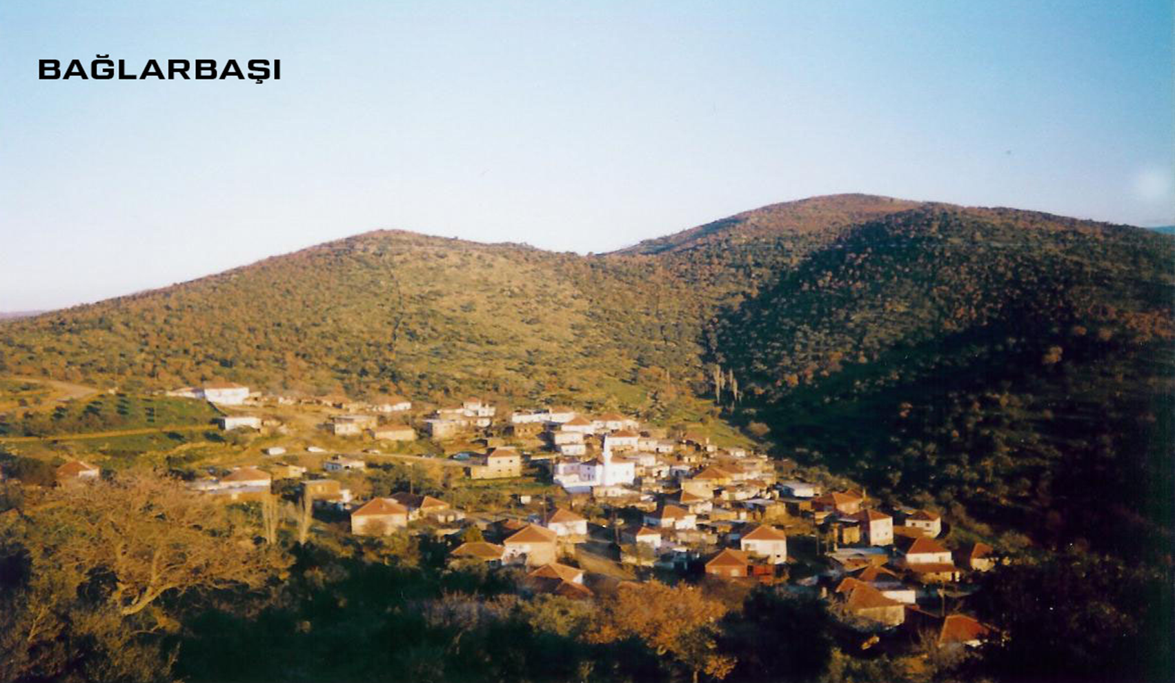 Medya