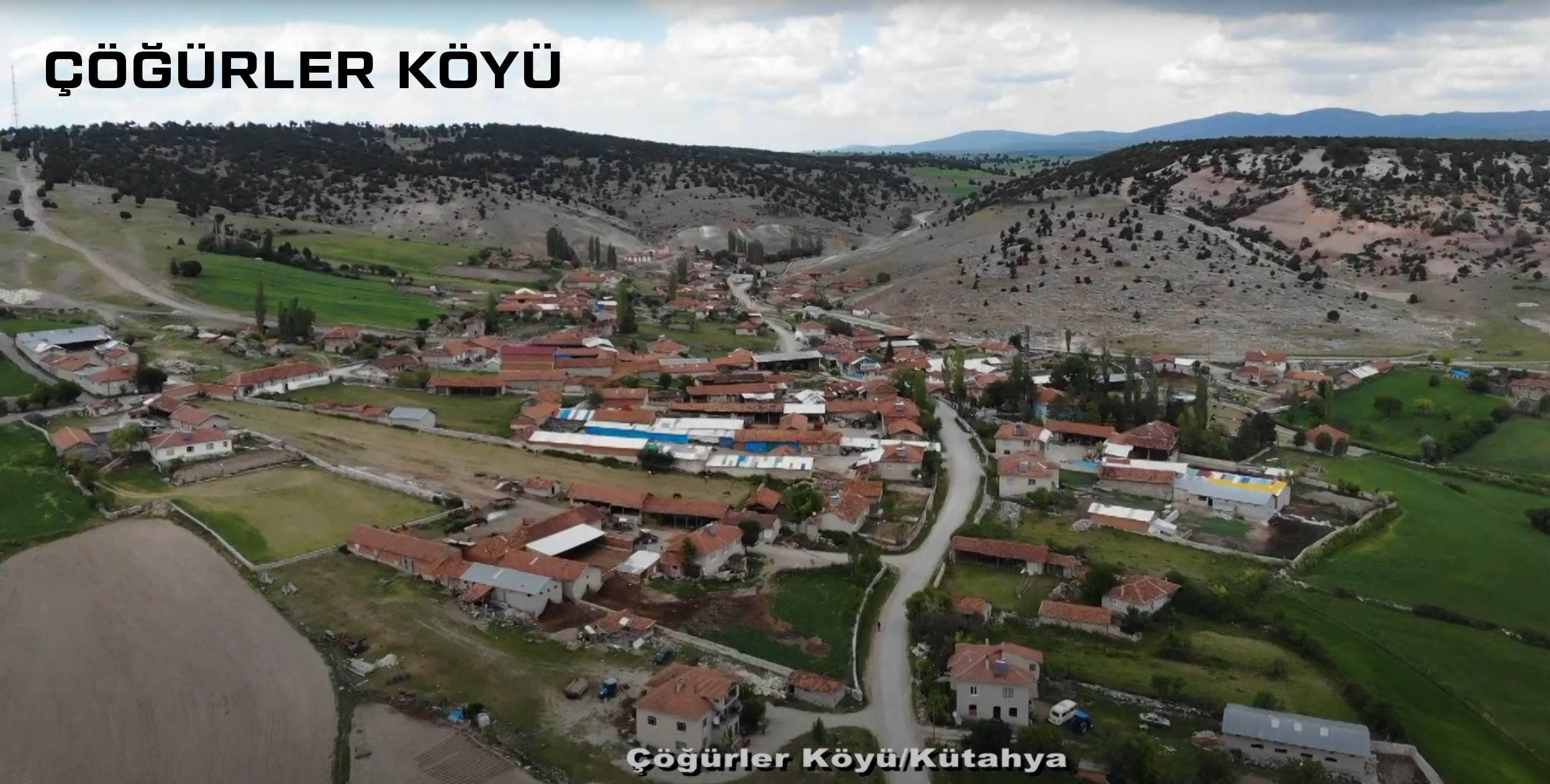 Medya