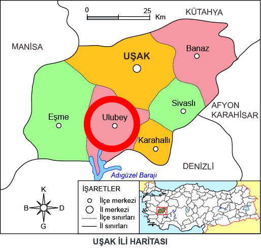 Medya