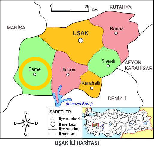 Medya