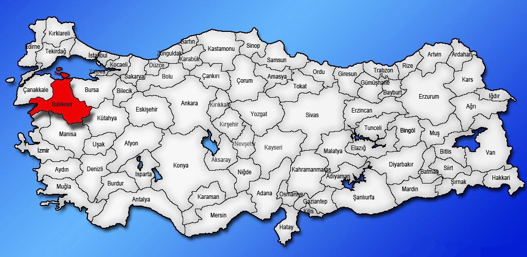 Medya