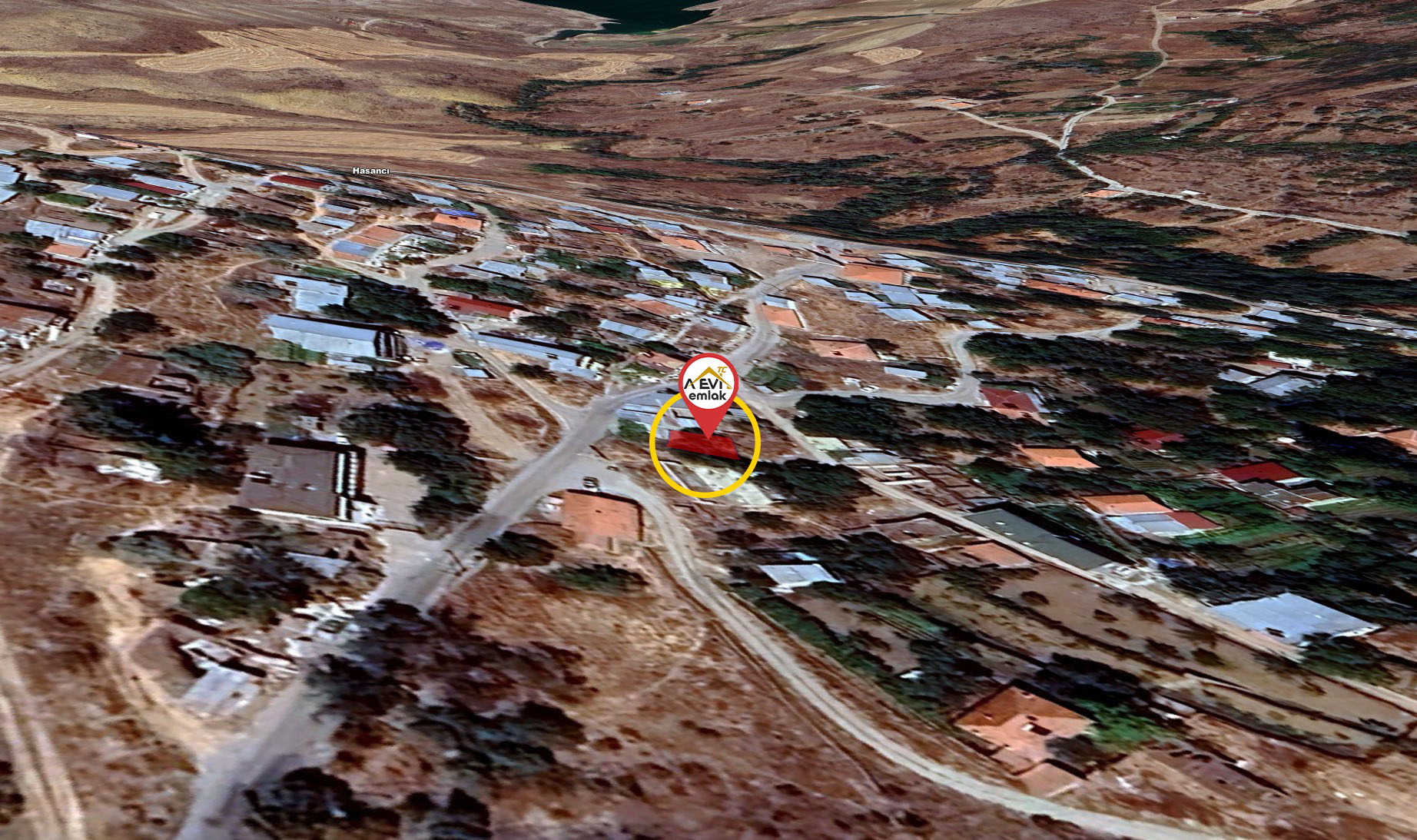 Medya