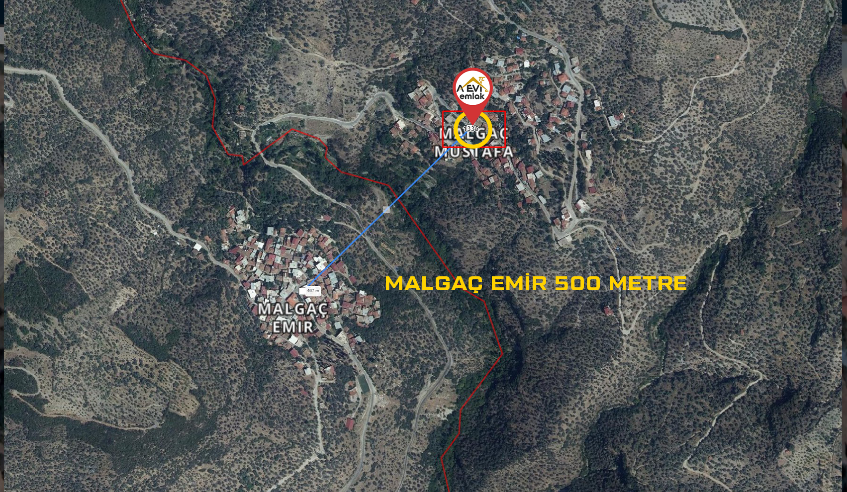 Medya