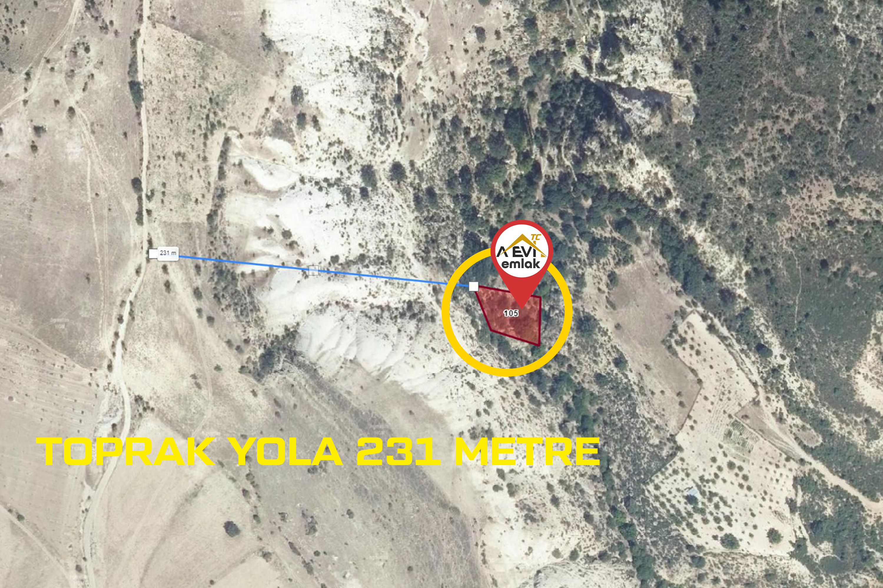 Medya