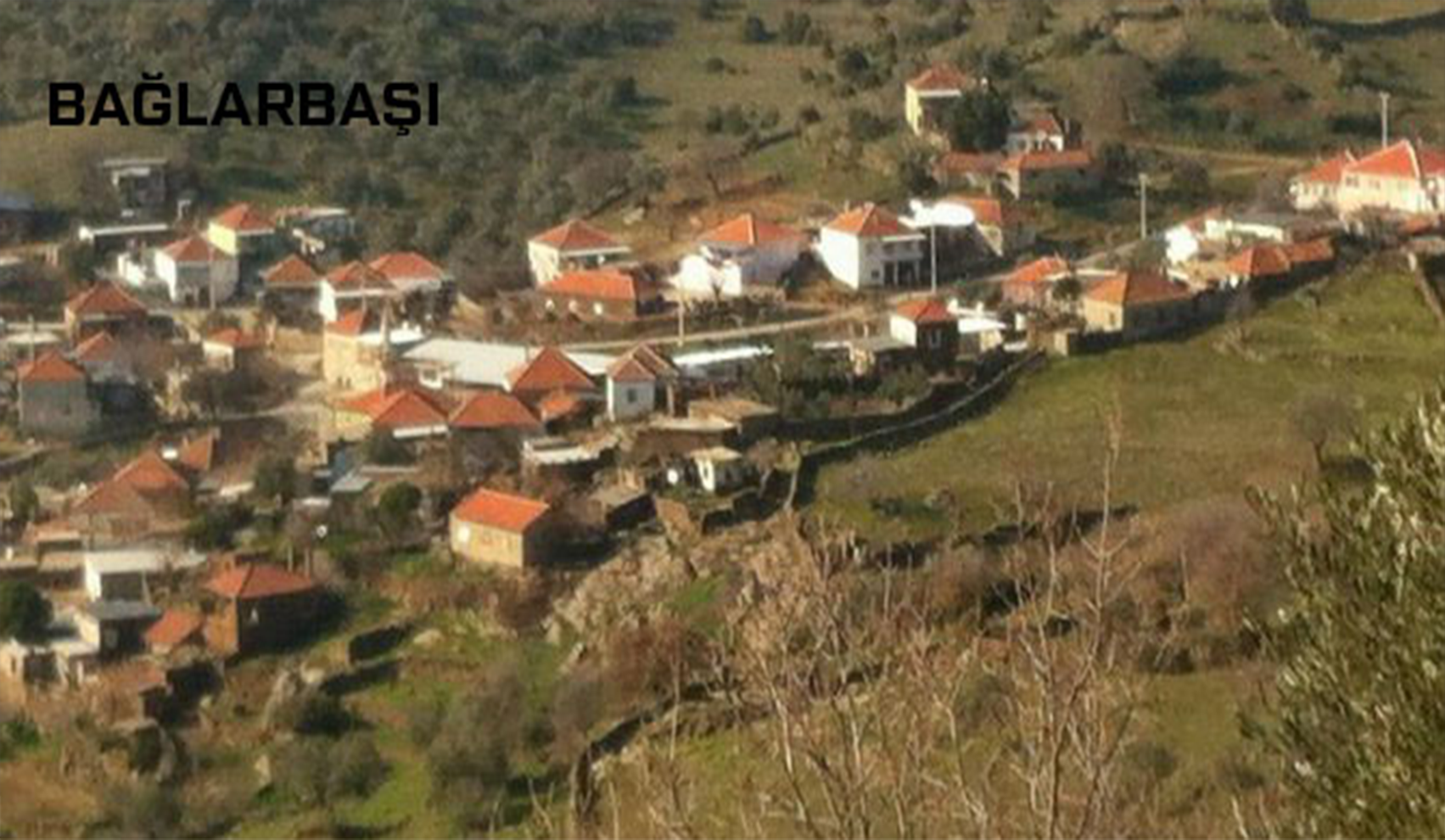Medya