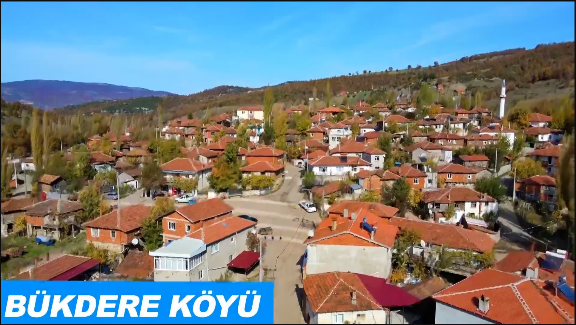 Medya