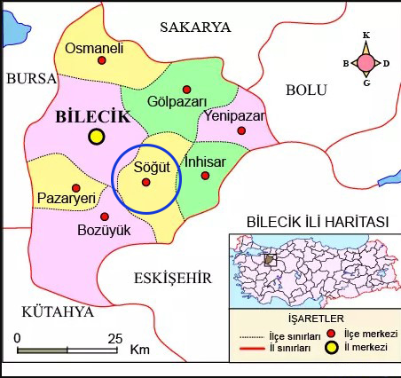 Medya