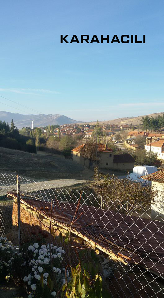 Medya