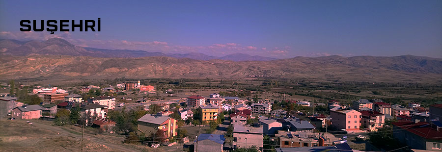 Medya