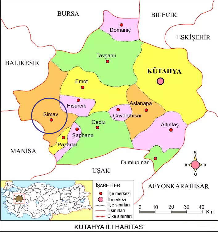 Medya