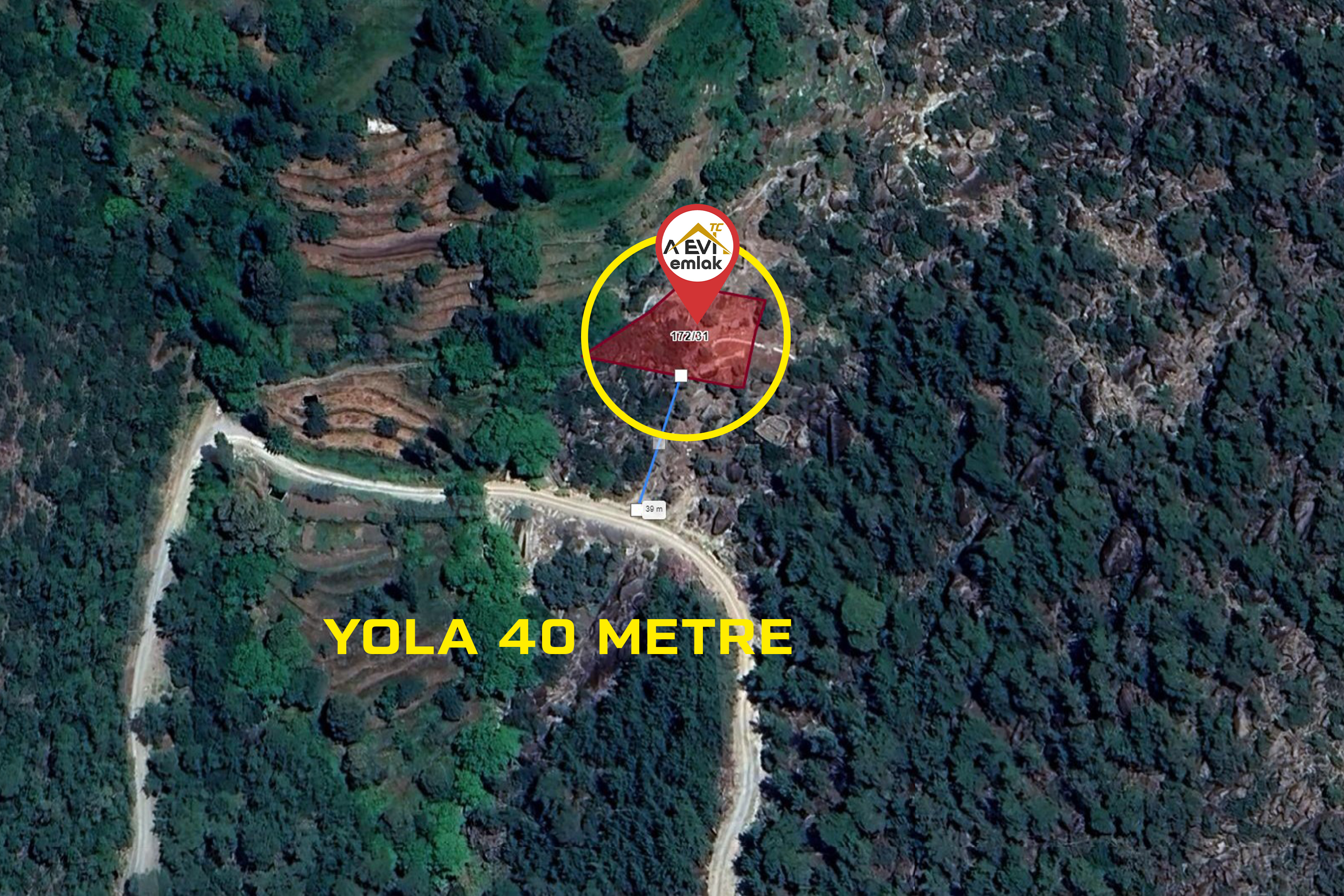 Medya