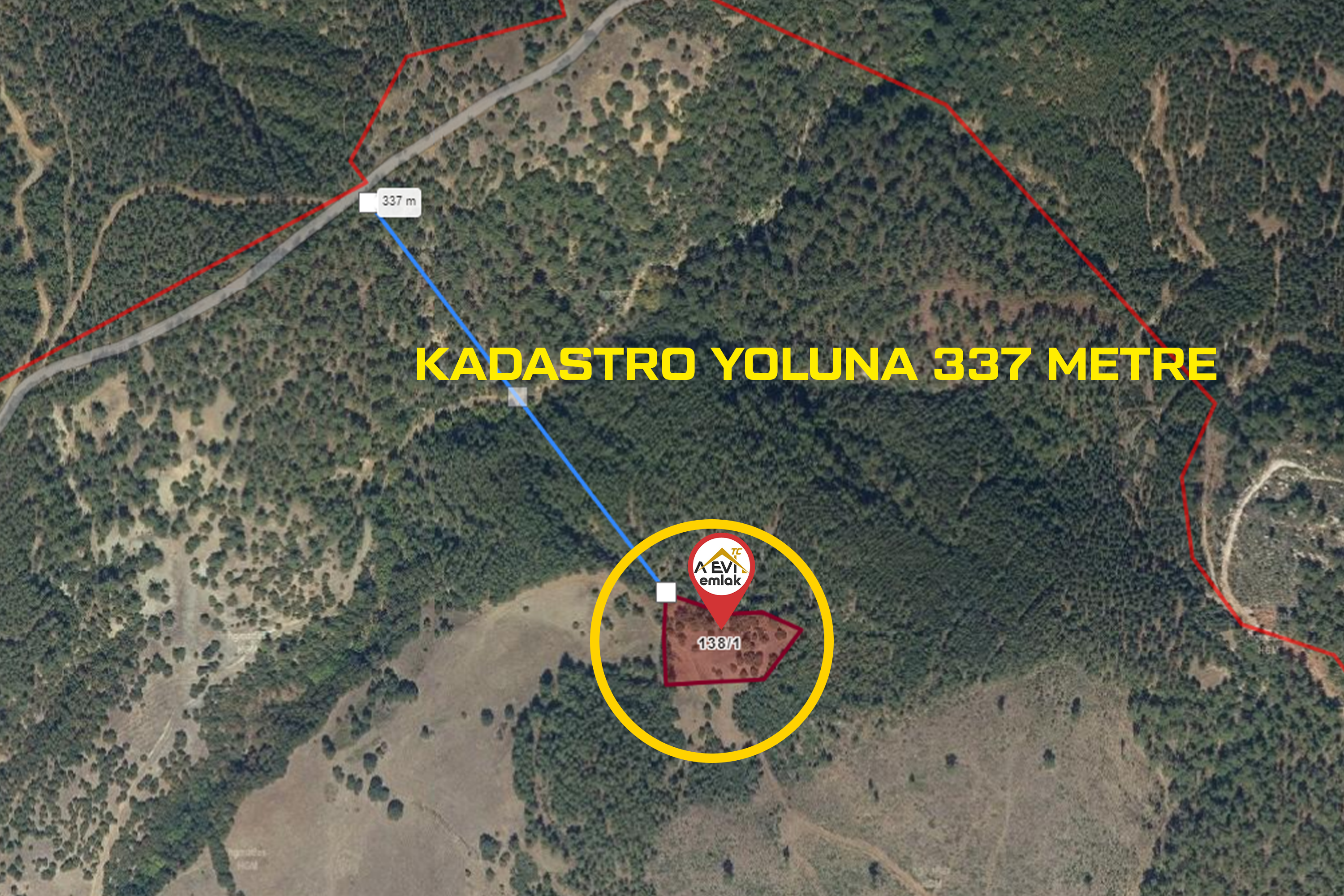 Medya