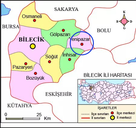 Medya