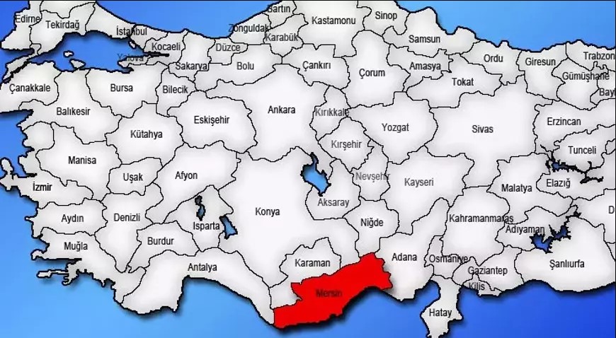 Medya