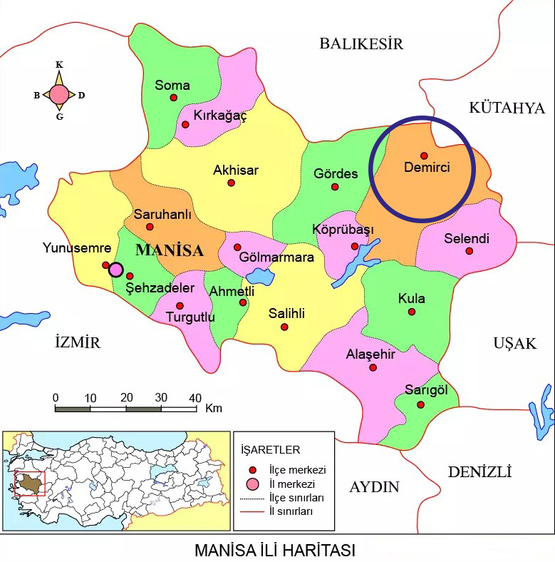 Medya