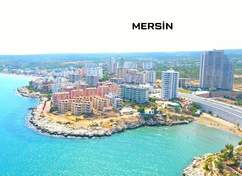 Medya