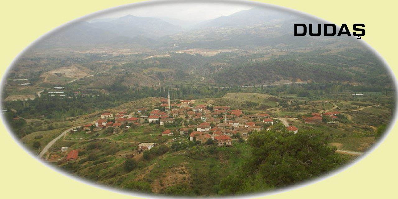 Medya