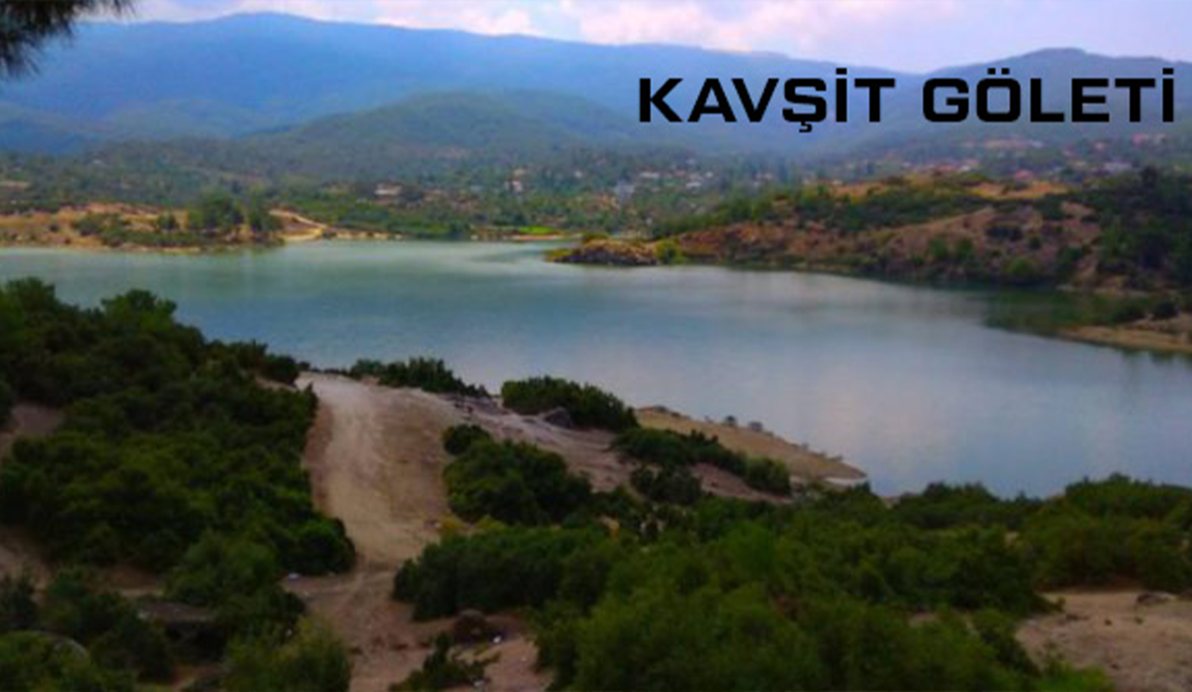 Medya