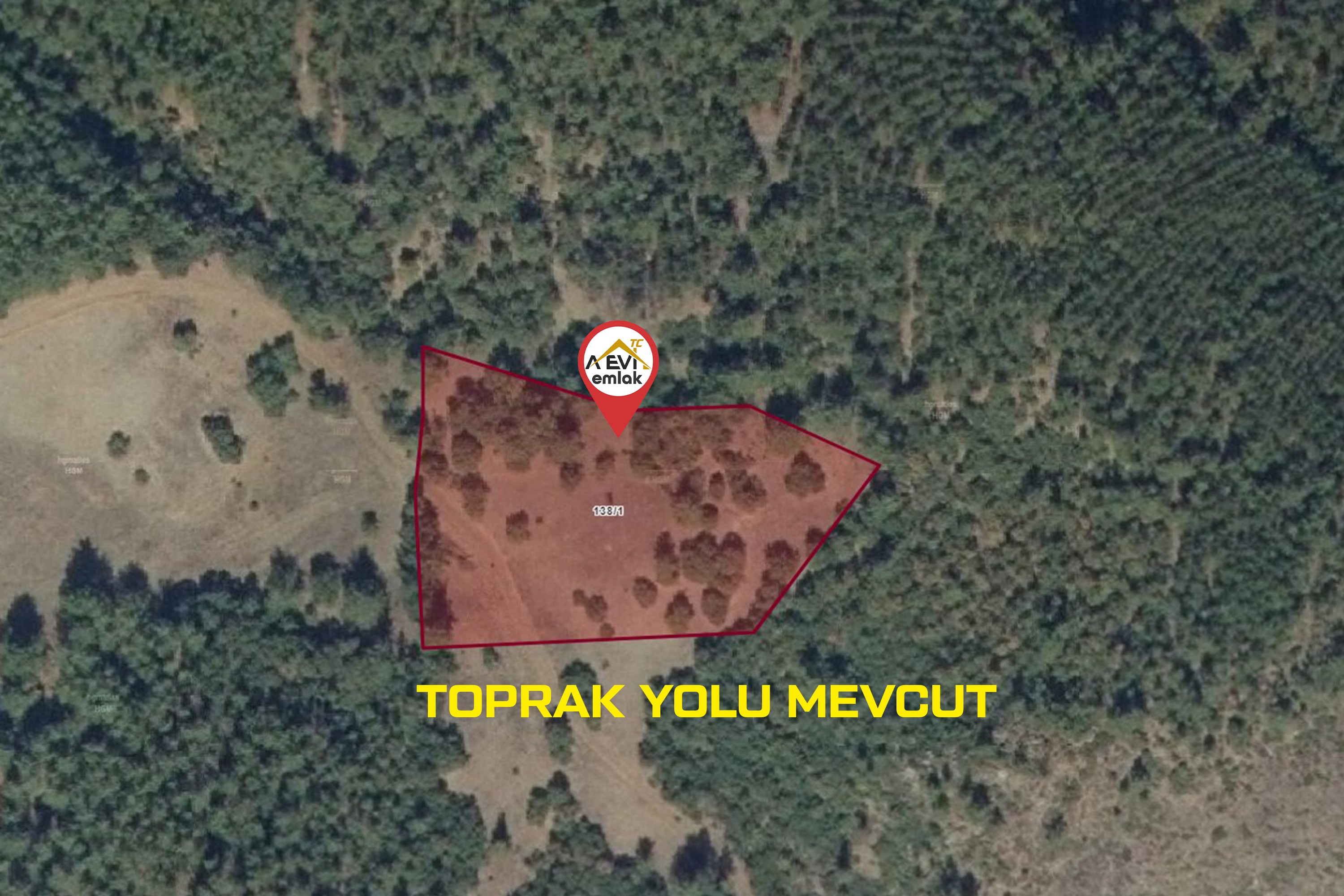 Medya