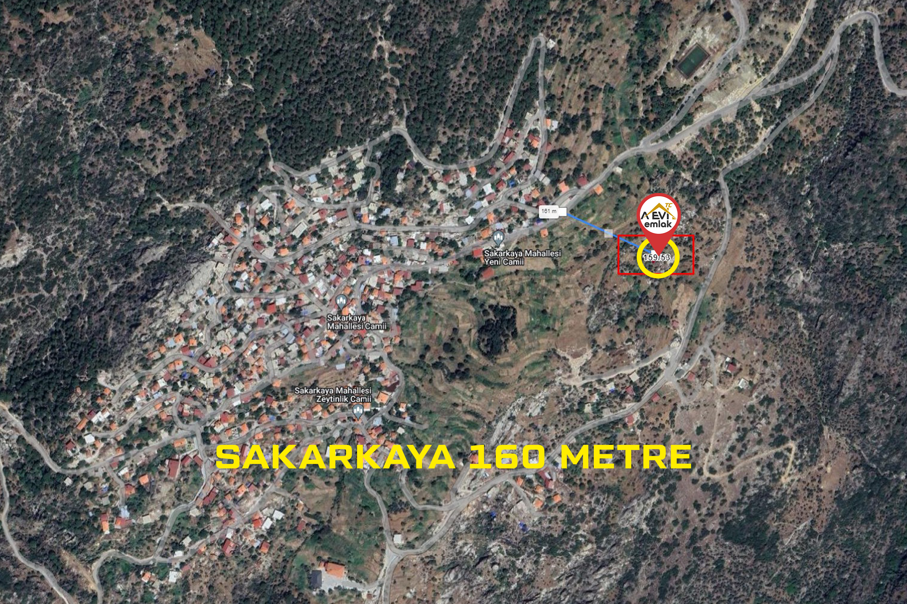 Medya
