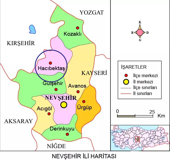 Medya
