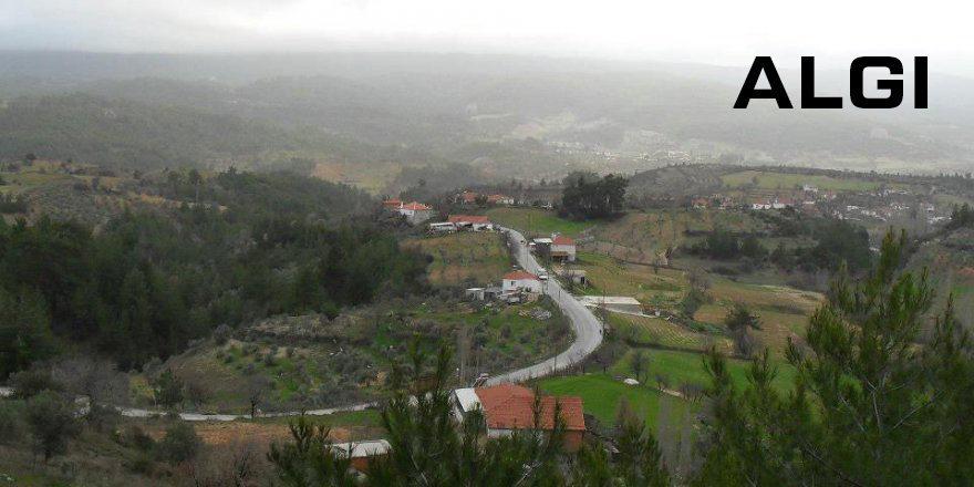 Medya