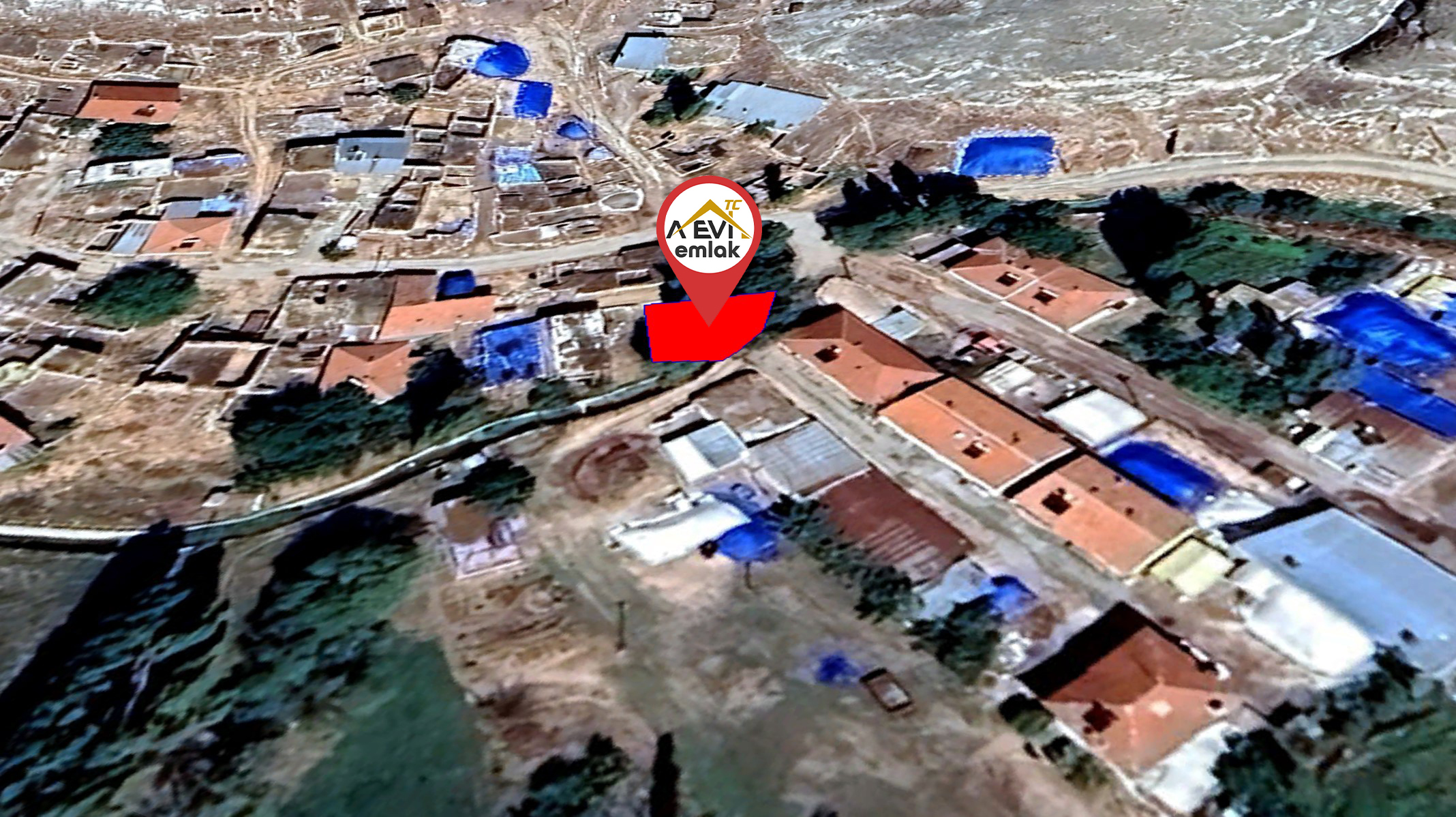 Medya