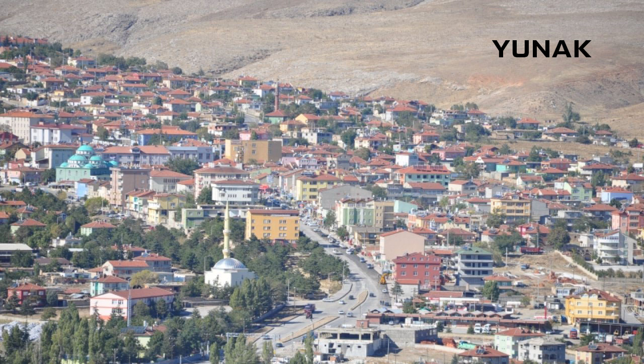 Medya