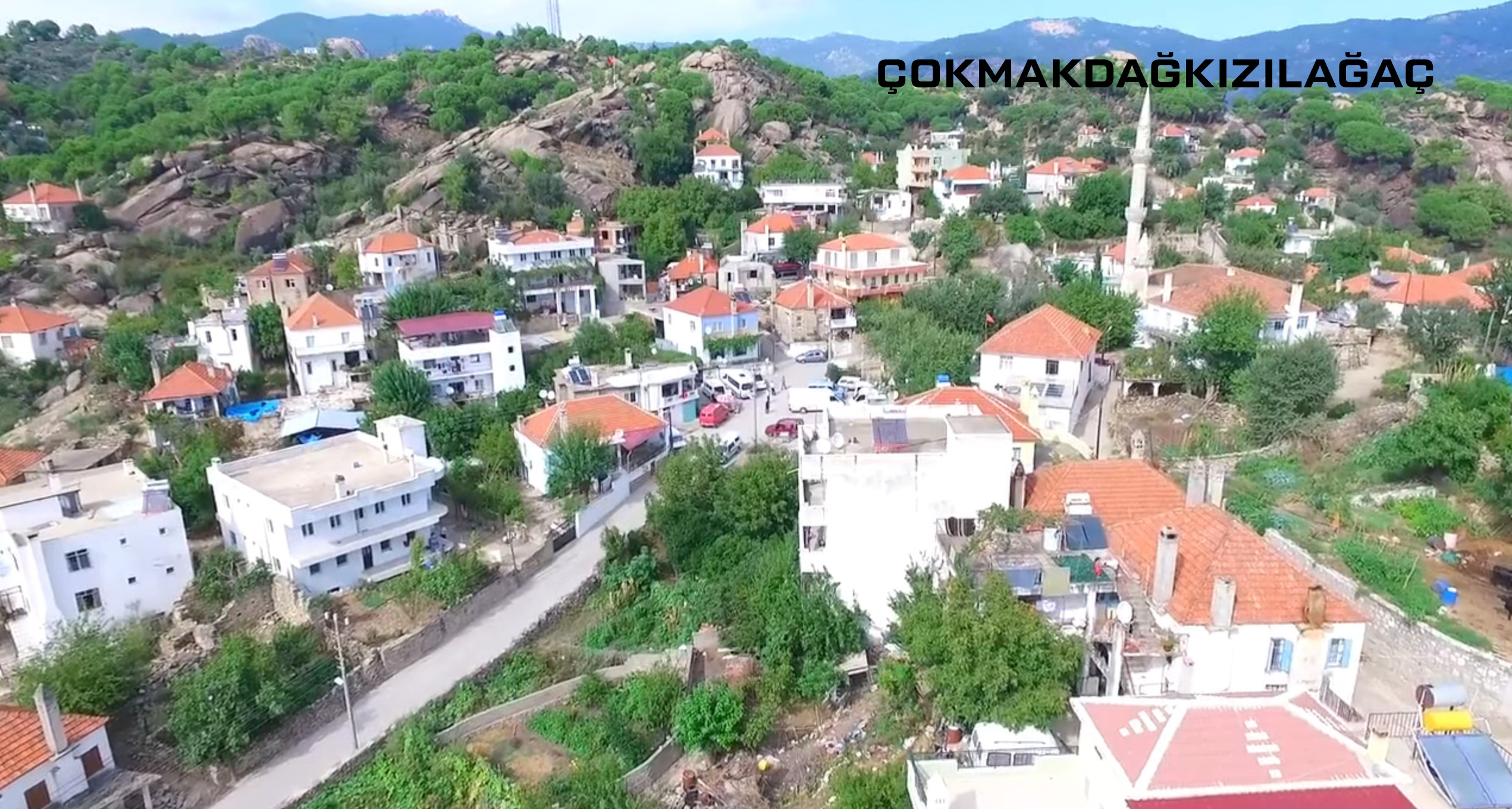 Medya