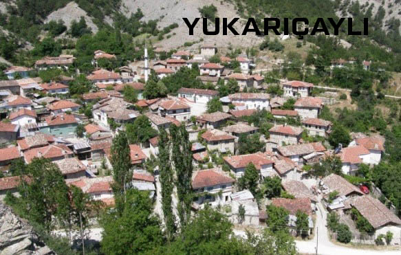 Medya