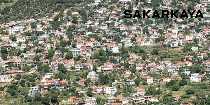 Medya