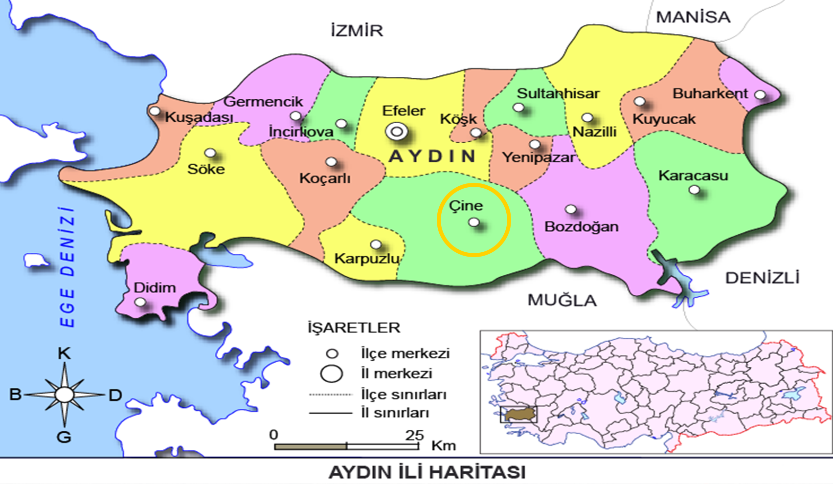 Medya