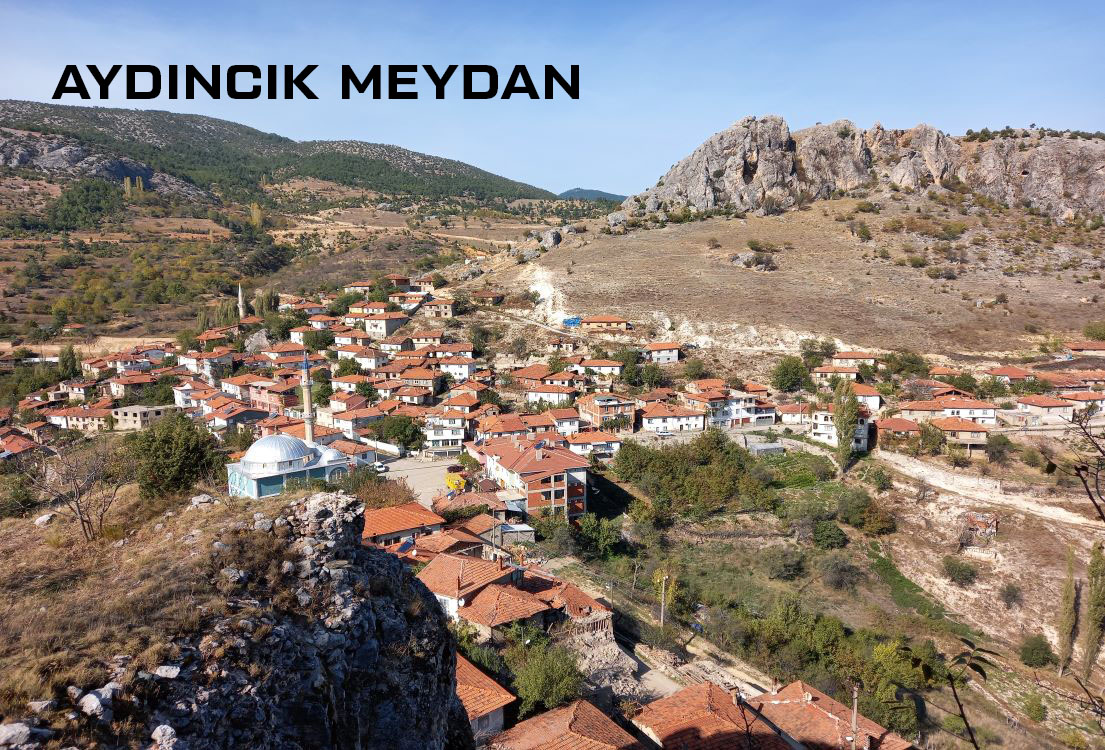 Medya