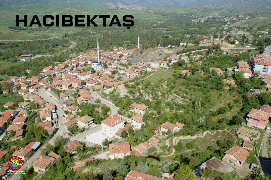 Medya