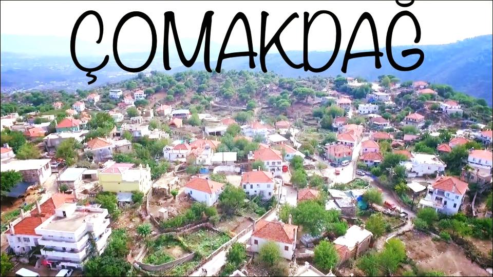 Medya