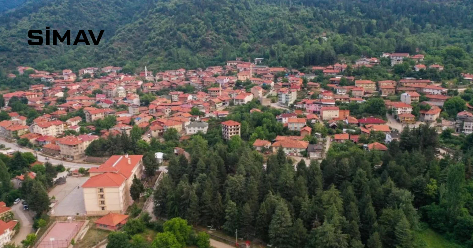 Medya