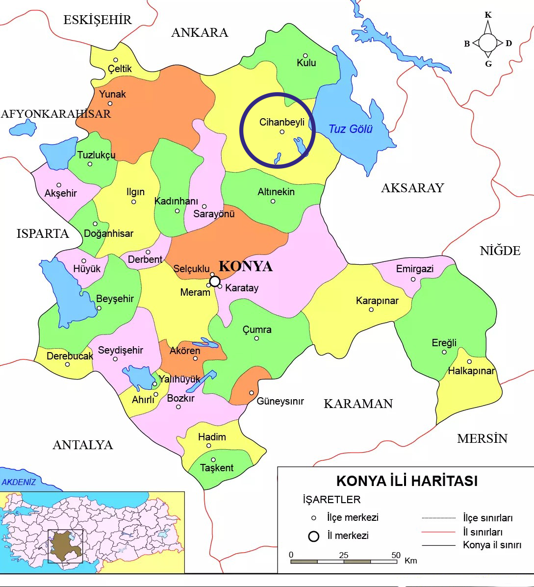 Medya